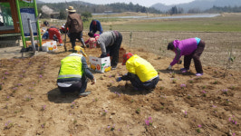보성군, 웅치면 보성 600사업 추진 박차