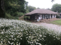 영광 매간당 고택서 하루 살아보기