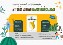 여름 동반자 수박 반값에 먹나~