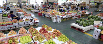 한산한 광주 북구 각화동 농산물공판장