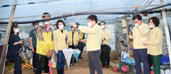 광주 남구, 태풍 하이선 대비 시설하우스 현장점검