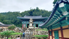 강진 청주김씨(淸州金氏) 강진파 김우필종가