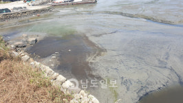 여수시 축산분뇨 무단방류에도 손 놓고 있어