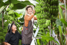 농도 전남 활력찾기 프로젝트 -특화작물 로 꿈꾸는 희망가 -8 신용균 땅끝농부 농장 대표