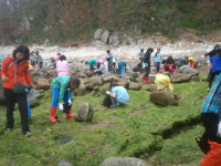 호남국제관광박람회-완도 울모래마을, 명사십리에 위치…비파 체험 등 다채