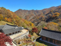 중흥·남도·K포럼 트레킹 동행 취재기…전북 무주 구천동 어사길