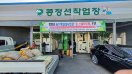 함평군농기계임대사업장 콩 선별장 북적