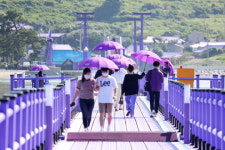 신안 퍼플섬 최고 여행지로 선정