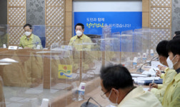 고병원성 AI 청정 전남 도 덮쳤다(종합)