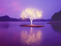 광주시립미술관, 사진작가 이정록 초대전 그 곳, 그 숨자연과 함께 찍고 또 찍고…생명 근원 찾는 찰나의 빛