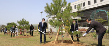 호남대, 귀한 혈통 정이품송 후계목 식재
