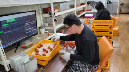 농도 전남 활력찾기 프로젝트 시즌 2 = 농촌의 희망 강소농이 뜬다-4.선현우 선율농장 대표