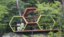 [남도일보 주말엔]탐스러운 꽃송이 한가득 여름꽃에 반했네