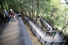 [스페셜남도 주말N]놀이터부터 황톳길까지…영광 물무산 행복숲 둘레길