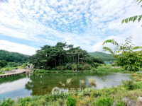 장흥 청주김씨(淸州金氏) 대종가 [75]