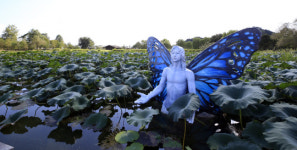 [스페셜남도 주말N]가족과 함께 가을과 함께 떠나는 나들이