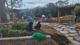 순천시 낙안 평사마을, 반려나무 숲 조성 눈길