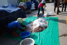 전남 희망 아이콘 섬·바다 이야기 =  섬에서 자연과 인간의 관계