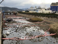 벙커C유 대량 유출에도 정작 회사는 5시간째 몰라