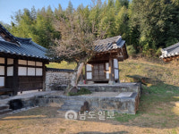 보성 압해정씨(押海丁氏) 사평공파 정손일 종가 [87]