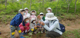 함평자연생태공원, 사계절 관광지 도약