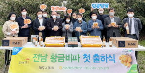 전남농협 비파첫 출하