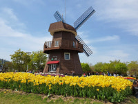[스페셜 남도]대한민국 생태수도 순천만국가정원…4월 봄꽃 물들다