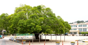 [100년 학교를 찾아서](1)영광초등학교-전남 최초의 근대학교...오랜 풍파딛고 126년 역사 자랑