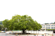 [100년 학교를 찾아서](1)영광초등학교-전남 최초의 근대학교...오랜 풍파딛고 126년 역사 자랑