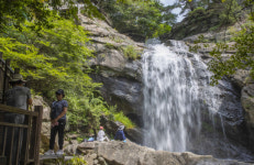 [포토뉴스] 전국 폭염, 구례 수락폭포서 무더위 식혀요