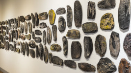 메세나 정신서 발굴된 청년작가들의 풍경