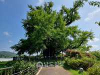 광주 남구 광산김씨(光山金氏) 문정공파 녹사공후 감사공 종중/종가 [109]