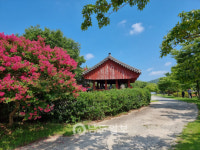 광주 남구 광산김씨(光山金氏) 문정공파 녹사공후 감사공 종중/종가 [109]