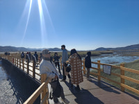 광주고려인마을 자매기관 버들시내외국인문화센터, 강진 문화답사