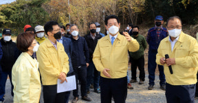 김영록 전남지사, 소나무 재선충병 발생 현장 방문