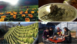 한국인의 밥상, 무말랭이부터 수박무쌈말이까지