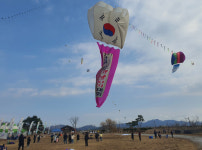 전남농업박물관, 영산호관광지서 전국 민속 연날리기 대회