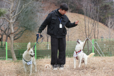 곰이·송강, 광주에 새 보금자리