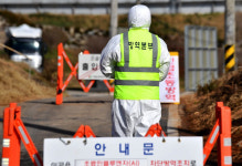 보성 육용오리 농장서 AI 항원 검출…전남 누적 26번째