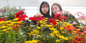 봄 소식 전하는 함평 나비