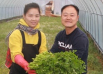 [사람&스토리]이광용 장성 황룡강 친환경 미나리 대표 향긋한 생미나리 맛보러 오세요