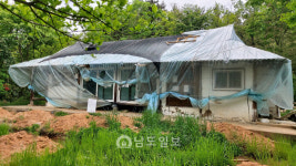 [117]조선 청백리 명문가의 애환