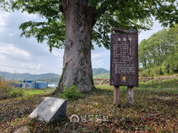 [118] 충효도 못다하고 가는 길 서러워라… 학자 의병장 후손 가문