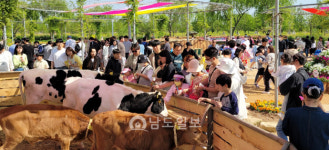 함평군, 나비대축제 축산 프로그램 풍성