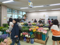 [르포]꽃만큼 의미 있는 건 없죠…모처럼 화훼단지 북적