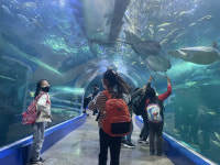 여수해수청, 관내 청소년 대상 해양교육 프로그램 운영