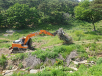 [르포]40년 만에 초록의 생명력이 움트는 너와나 목장