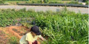 광주고려인마을, 협동농장 특화작물 수확 한창