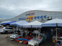 [이슈포커스]전남 대표 천일염 생산지 영광 설도항 르포-소금이 오염되면 먹을 게 없어…한숨만 나오네요