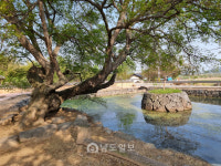 [남도일보 기획]파리에 간 광주·전남 종가 스토리(5) 가고 싶은 한국, 머물고 싶은 한옥